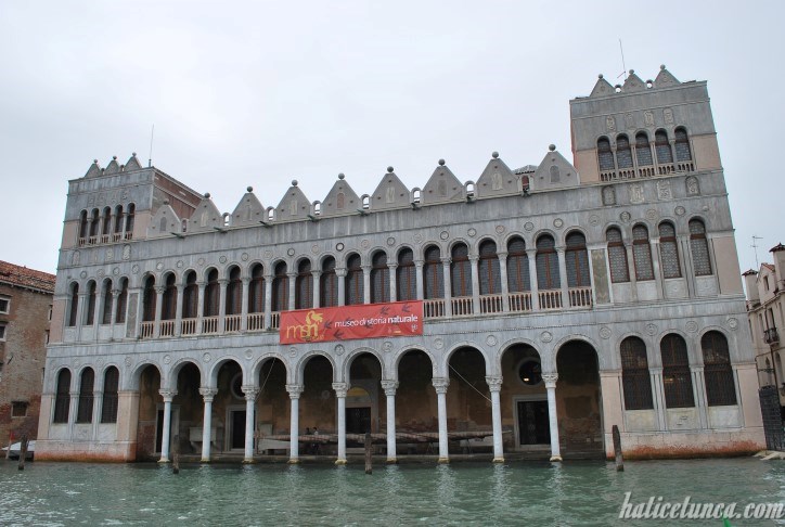 Venedik Doğa Tarihi Müzesi