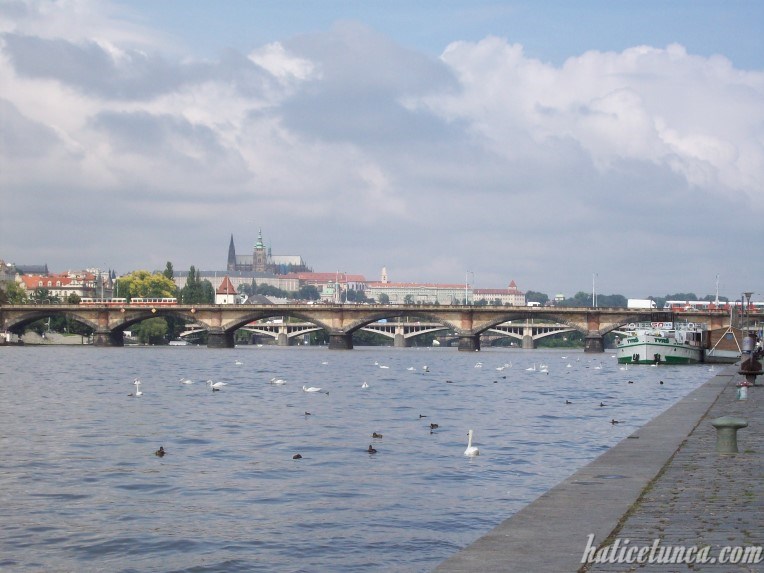 Palacky and Jirásek Bridges