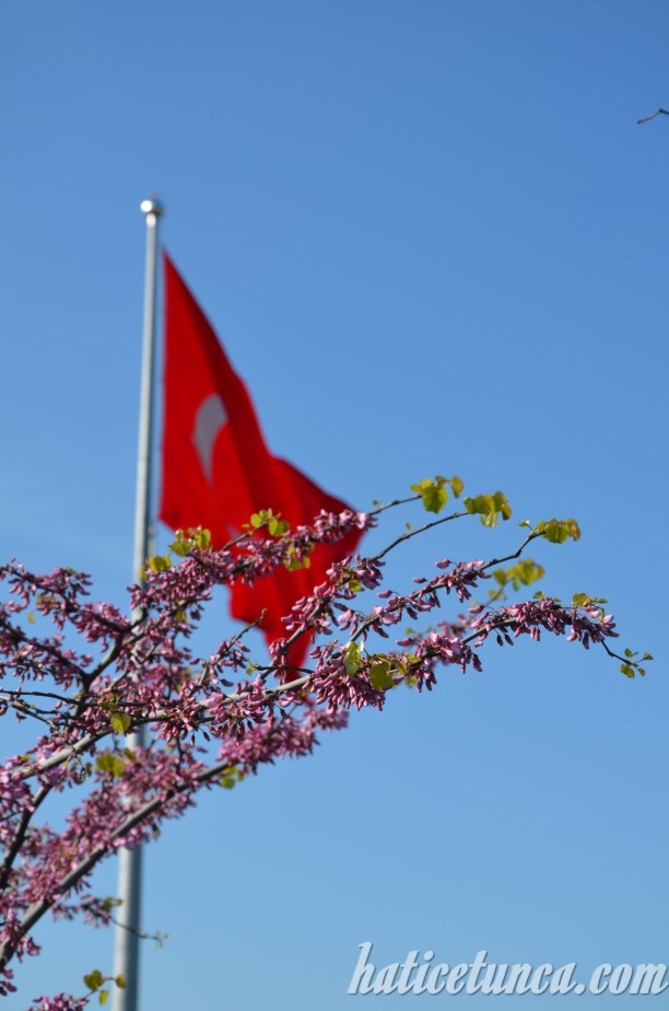 Otağtepe'deki Türk Bayrağı