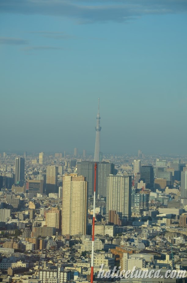 Tokyo Metropolitan Hükümet Binası'ndan Skytree
