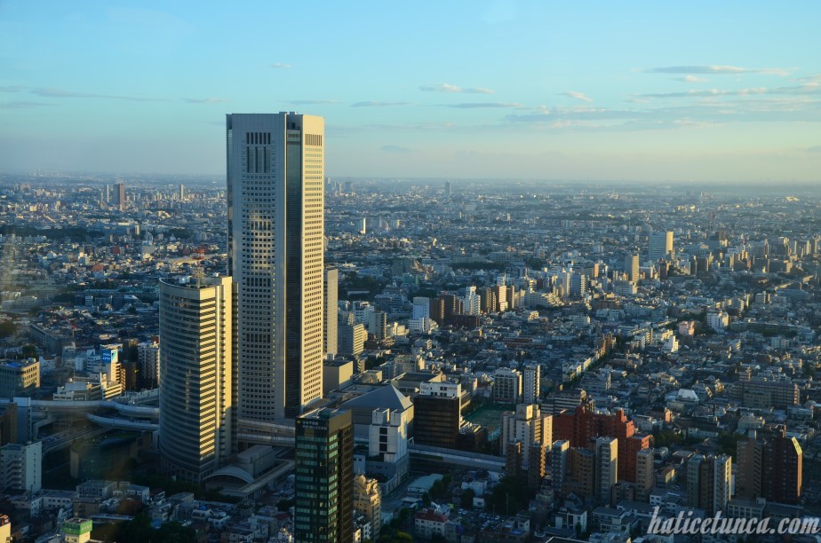 Tokyo Metropolitan Hükümet Binası'ndan manzara