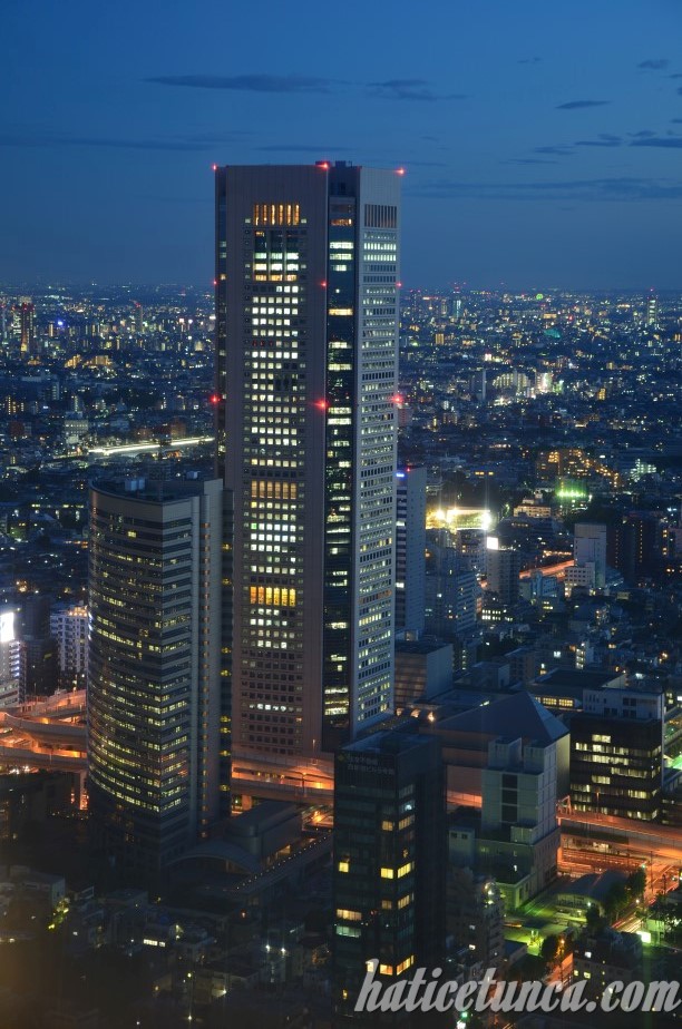 Tokyo Metropolitan Hükümet Binası'ndan manzara