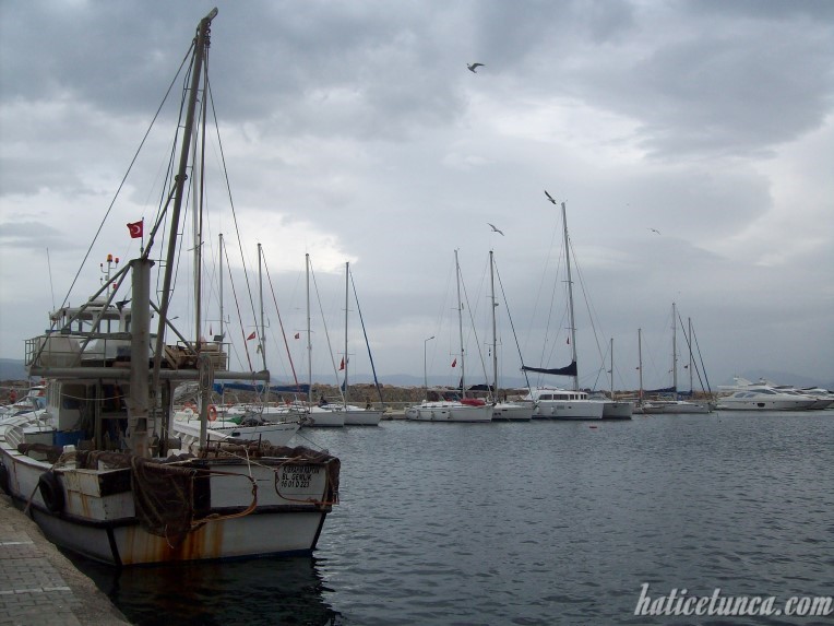 Tirilye Limanı