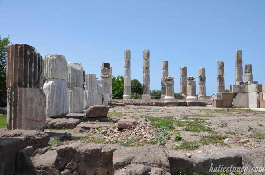 Apollon Smintheion Tapınağı