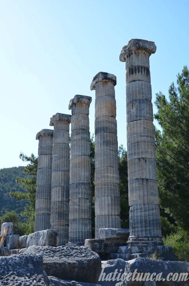 Priene Örenyeri Athena Tapınağı
