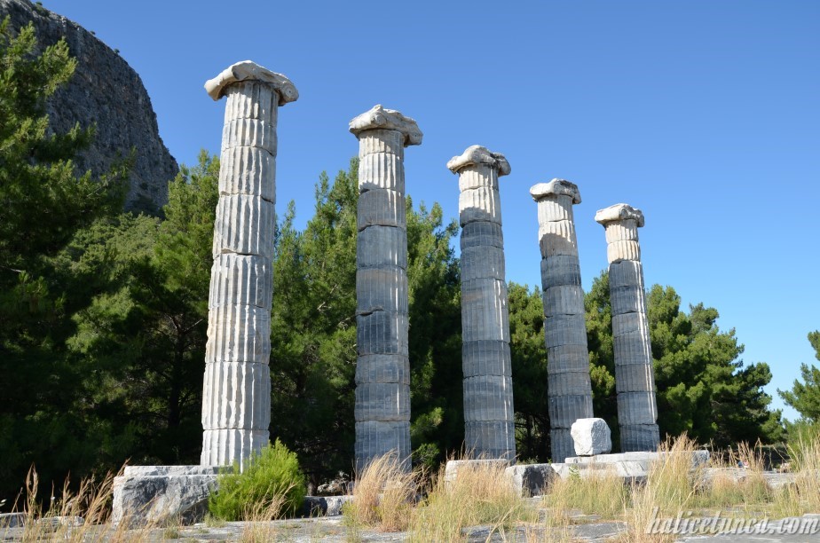 Priene Örenyeri Athena Tapınağı
