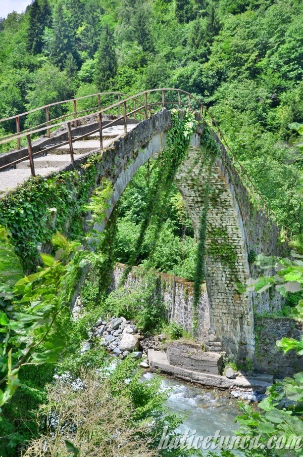 Şenyuva Köprüsü