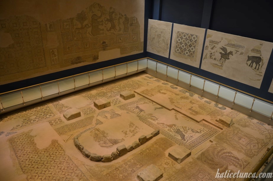 Hatay Arkeoloji Müzesi Mozaikleri